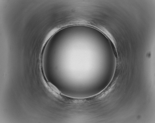 X0000094971389200711291453