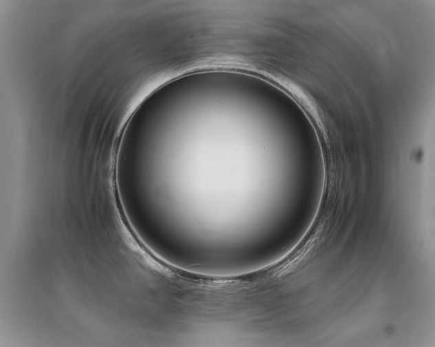 X0000094971390200711291453