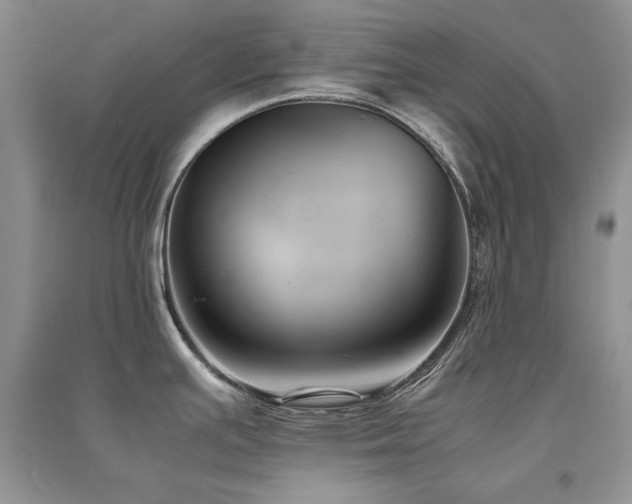 X0000094971391200711291453