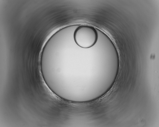 X0000094971392200711291453