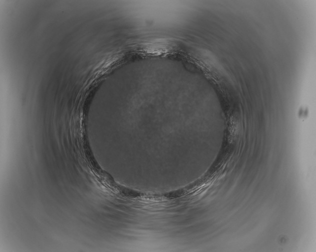 X0000094971394200711291452