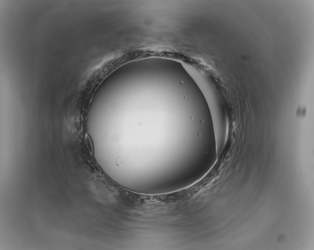 X0000094971398200711291453