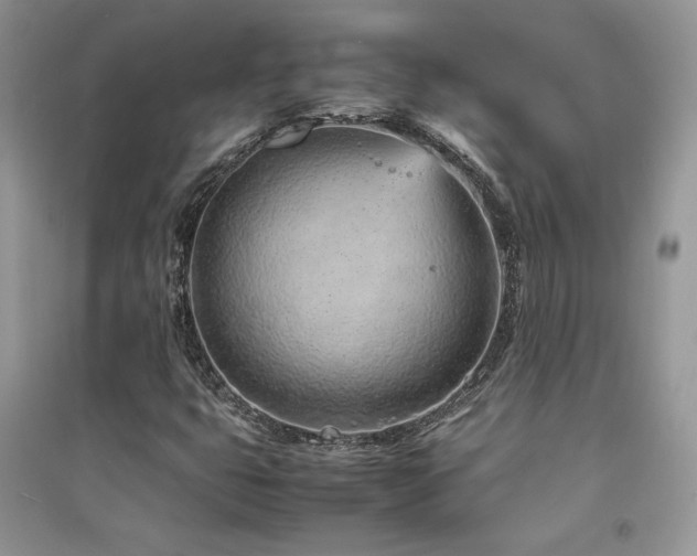 X0000094971399200711291453