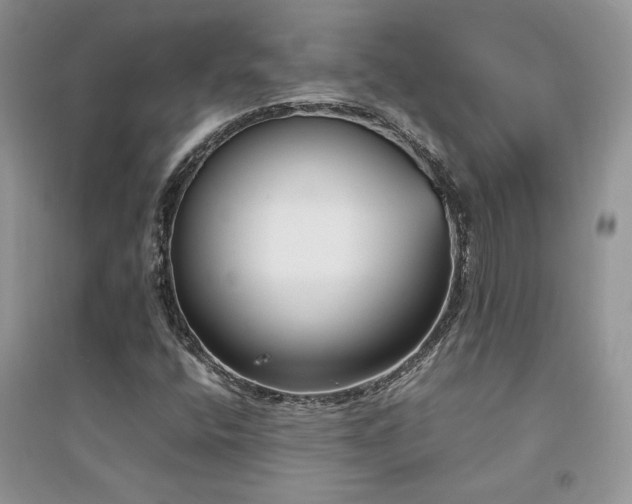 X0000094971400200711291453