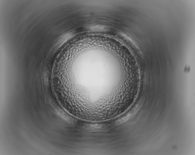 X0000094971401200711291453