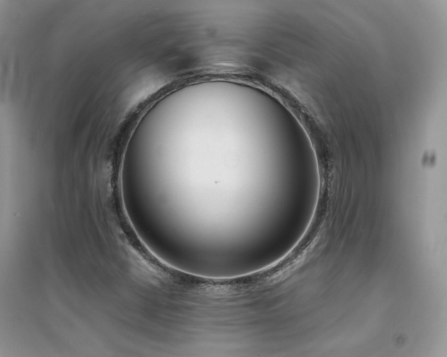 X0000094971402200711291453
