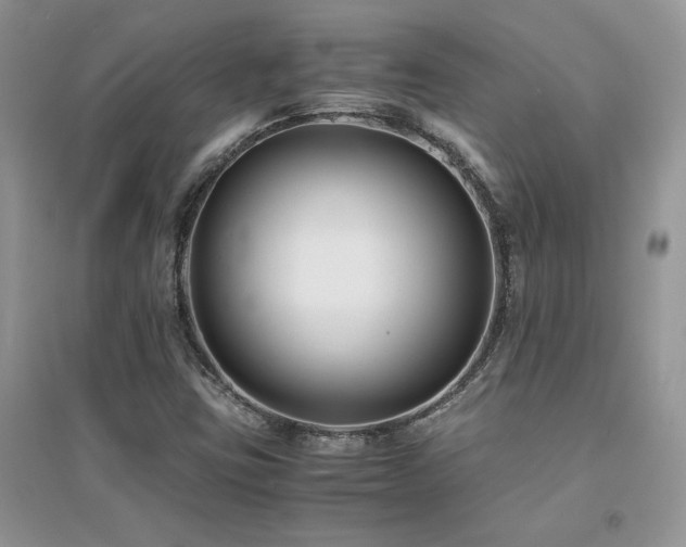 X0000094971403200711291453