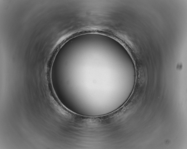 X0000094971404200711291453