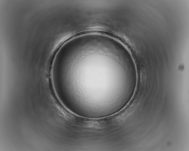 X0000094971405200711291453