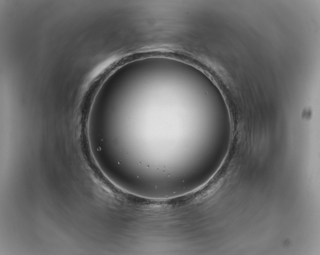 X0000094971406200711291453
