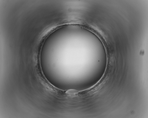 X0000094971407200711291453