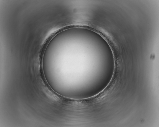 X0000094971408200711291453