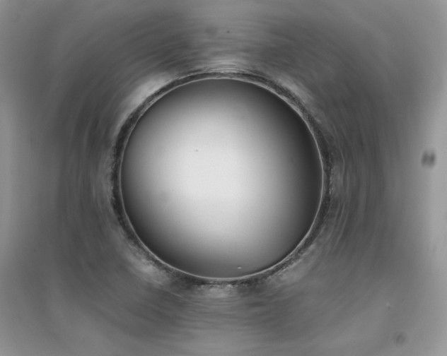 X0000094971410200711291453