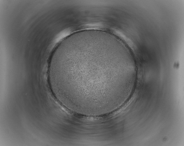 X0000094971411200711291453