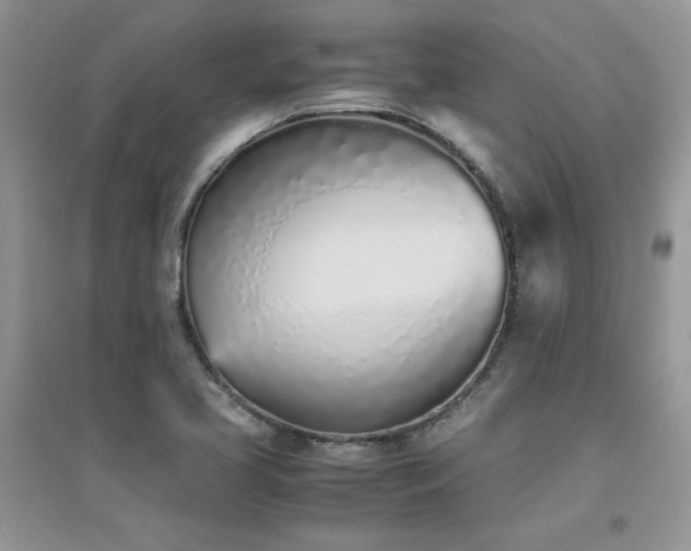 X0000094971413200711291453