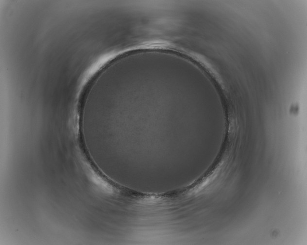 X0000094971414200711291453