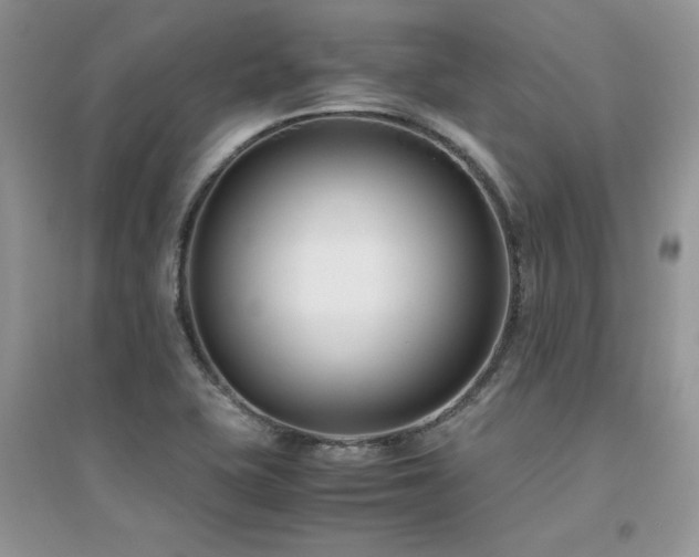 X0000094971415200711291453