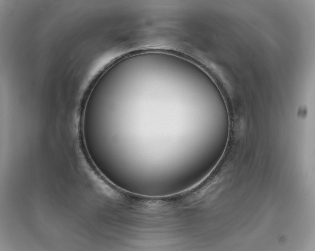 X0000094971416200711291453
