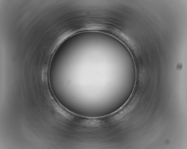 X0000094971417200711291453