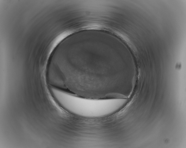 X0000094971418200711291453
