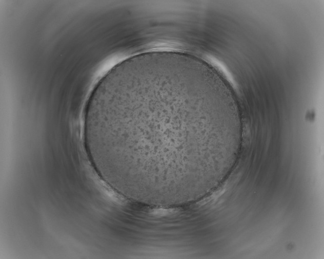 X0000094971419200711291453