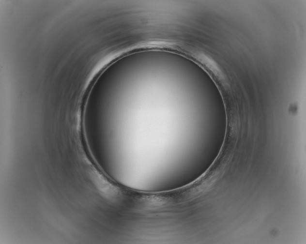 X0000094971420200711291453