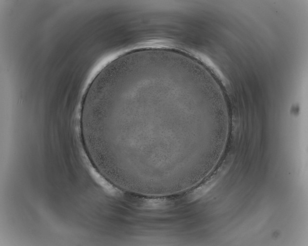 X0000094971421200711291453
