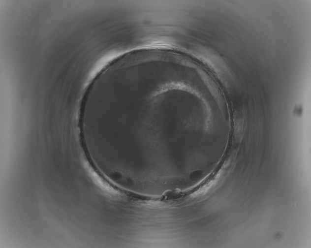 X0000094971422200711291453