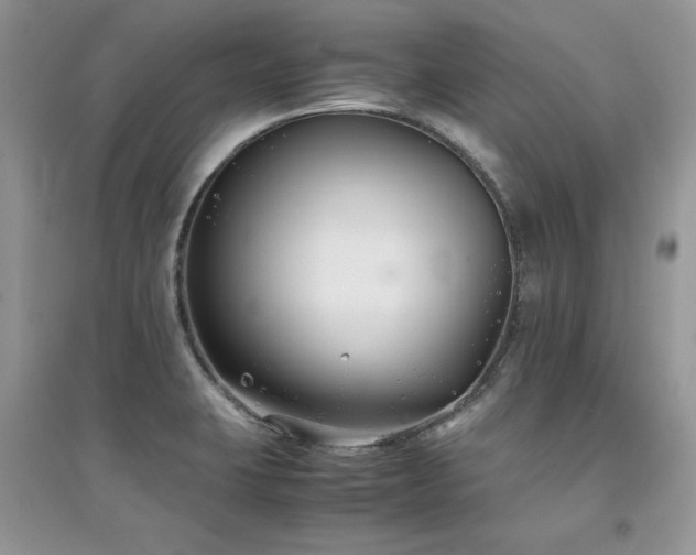 X0000094971423200711291453