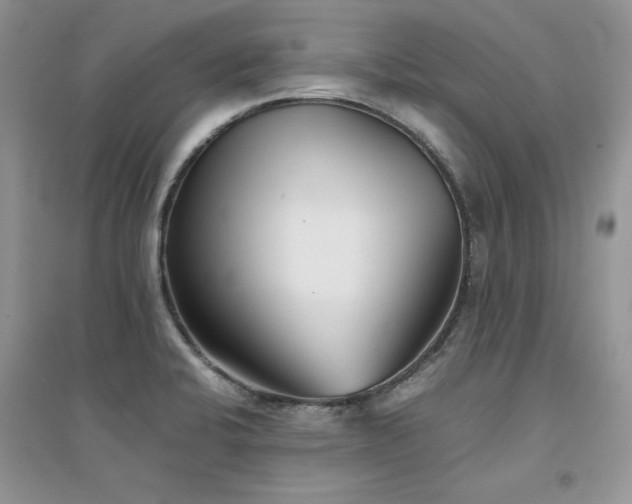 X0000094971424200711291453