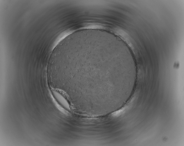 X0000094971425200711291453