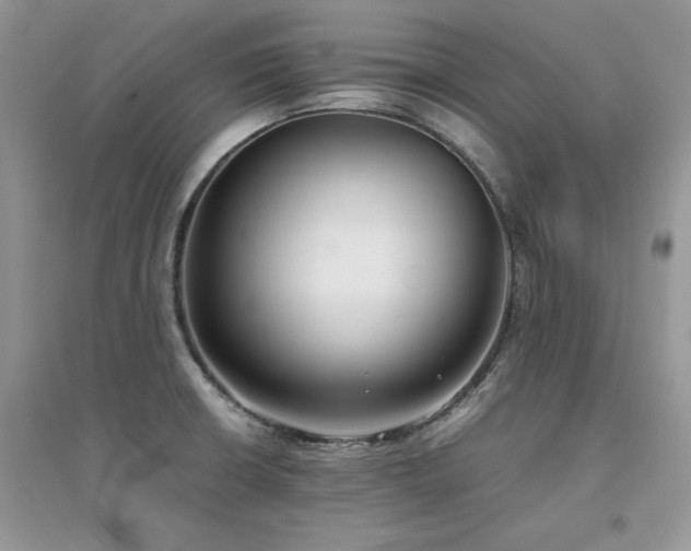 X0000094971426200711291453