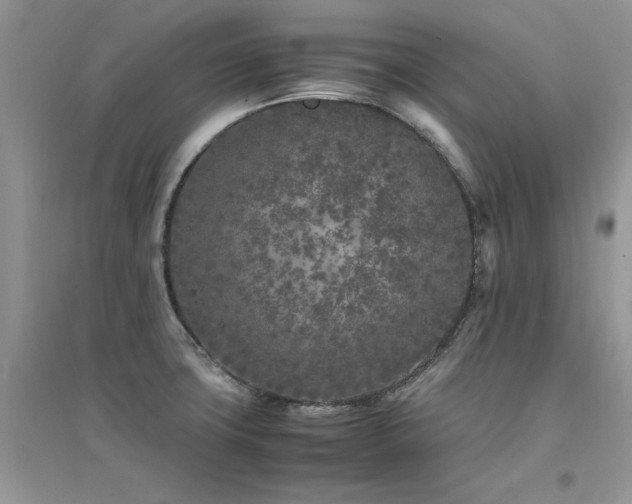 X0000094971427200711291453