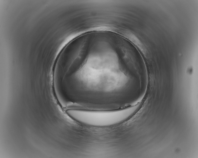 X0000094971428200711291453