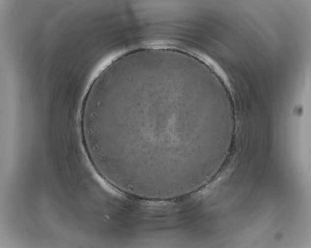 X0000094971429200711291453