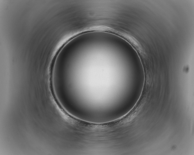 X0000094971430200711291453
