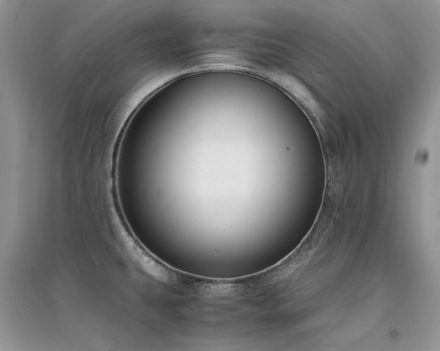 X0000094971431200711291453