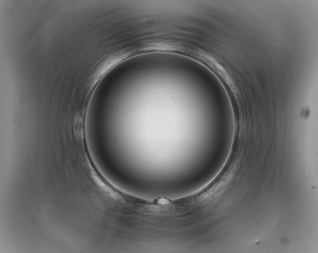 X0000094971433200711291453