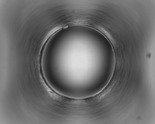 X0000094971434200711291453