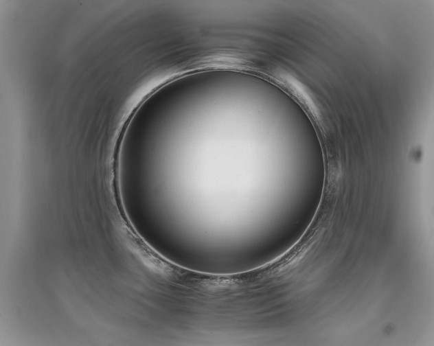 X0000094971435200711291453