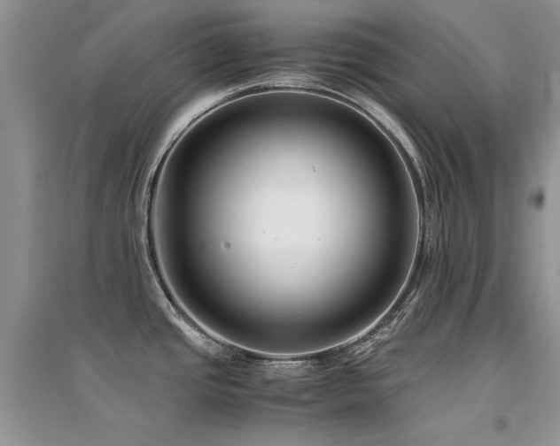 X0000094971437200711291453