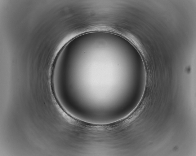 X0000094971438200711291453