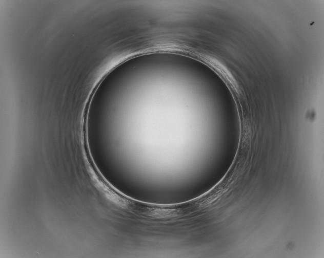 X0000094971439200711291453