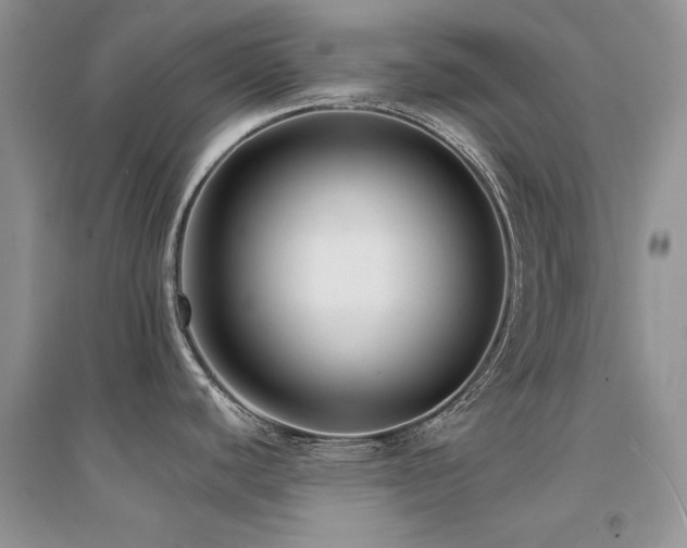 X0000094971440200711291453
