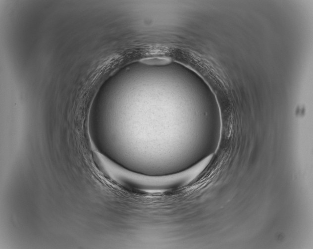 X0000094971441200711291452