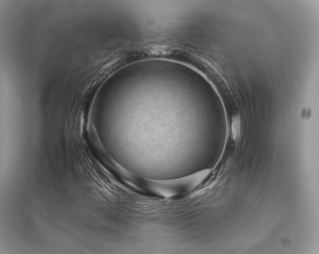 X0000094971444200711291452