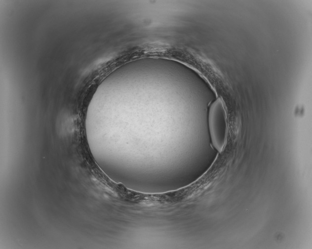 X0000094971445200711291452