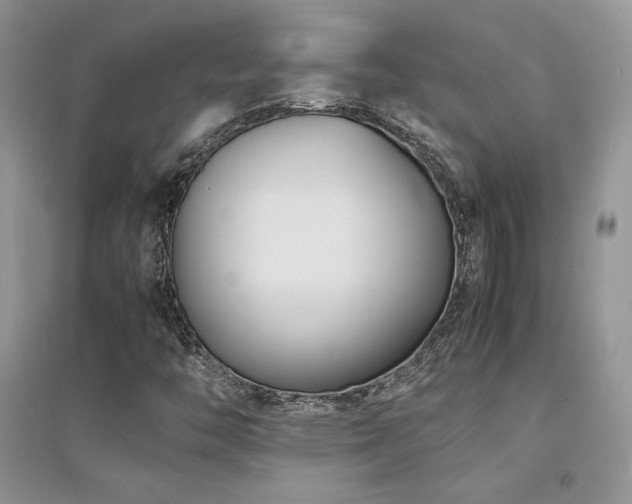 X0000094971446200711291452