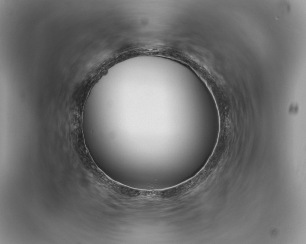 X0000094971447200711291452