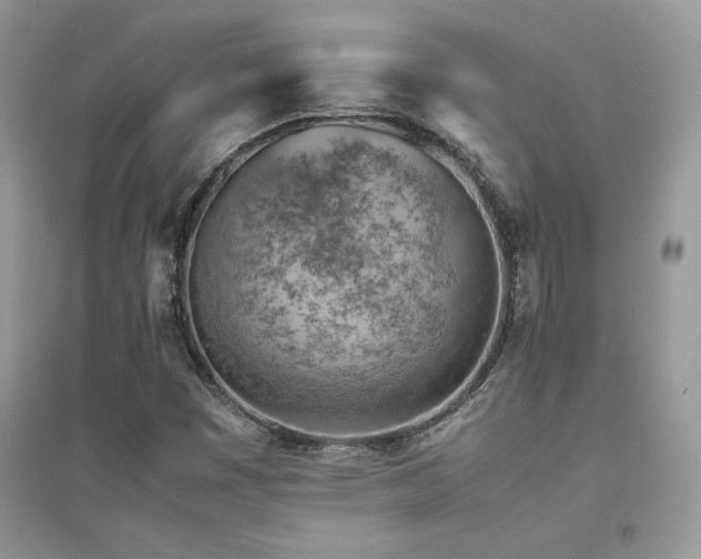 X0000094971449200711291452